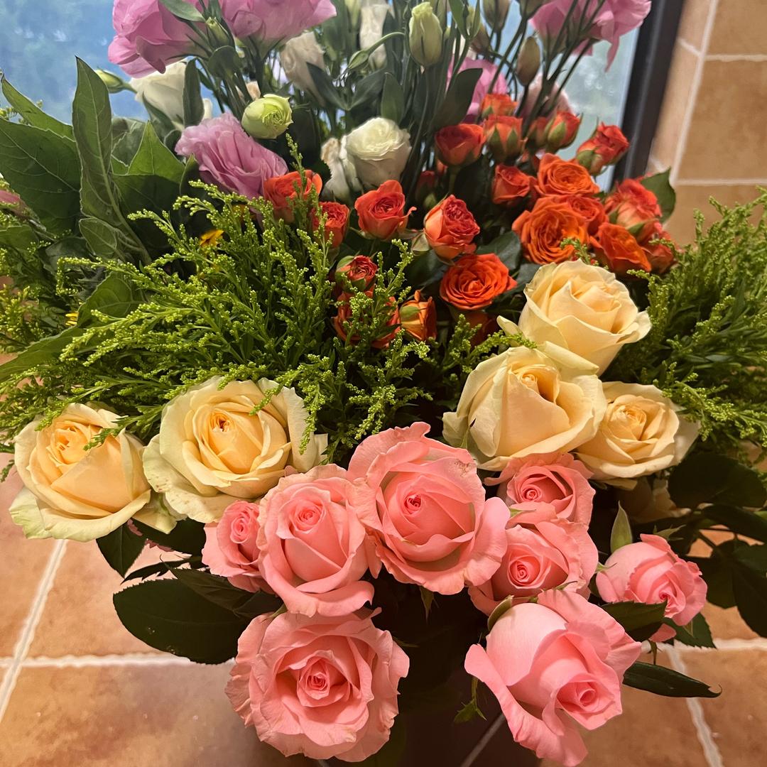 小马哥儿🥷🏽