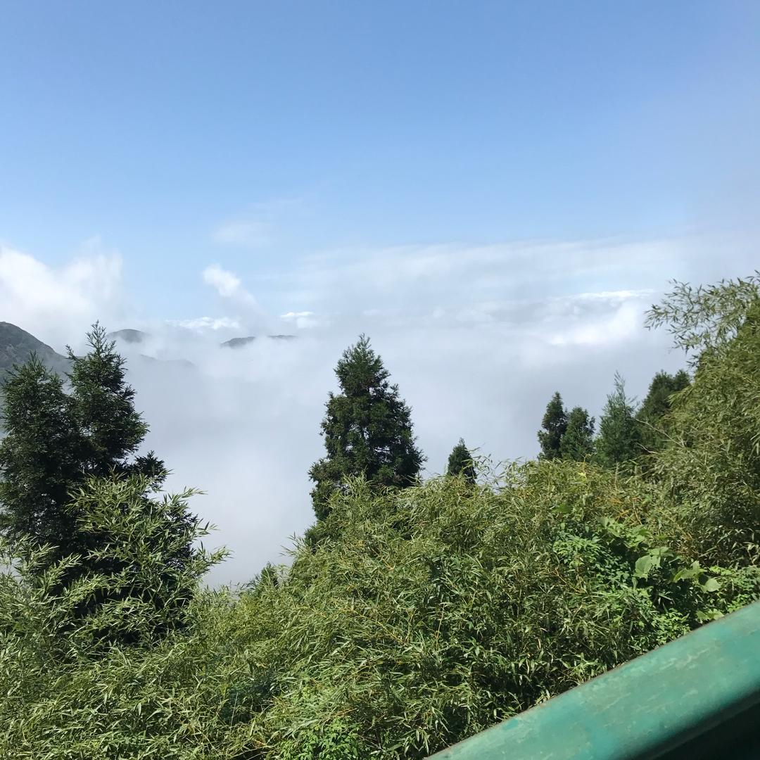 运气不错哦