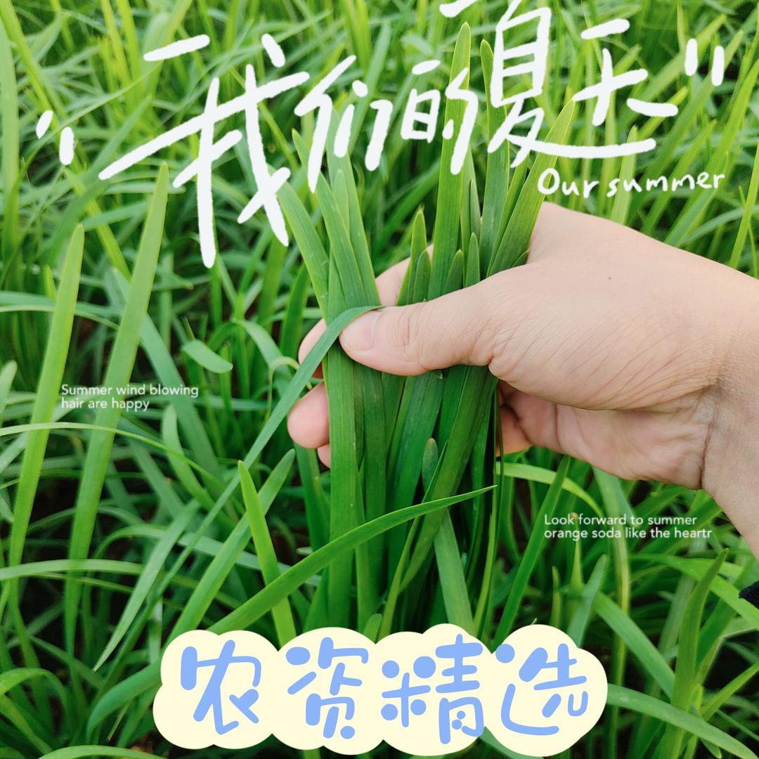 璤丰农资店（槟榔幼儿园左侧）