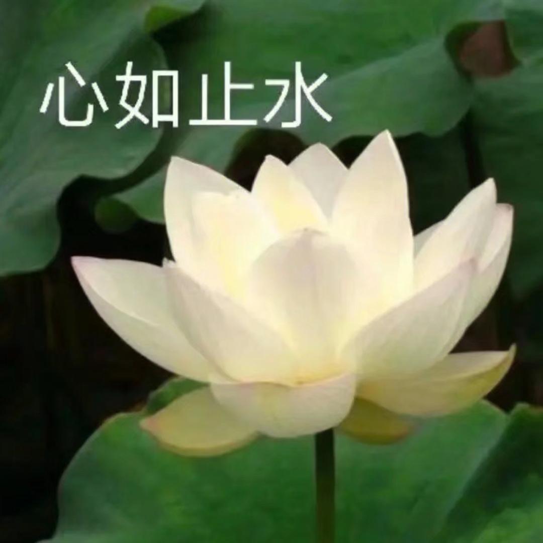 企业直聘
