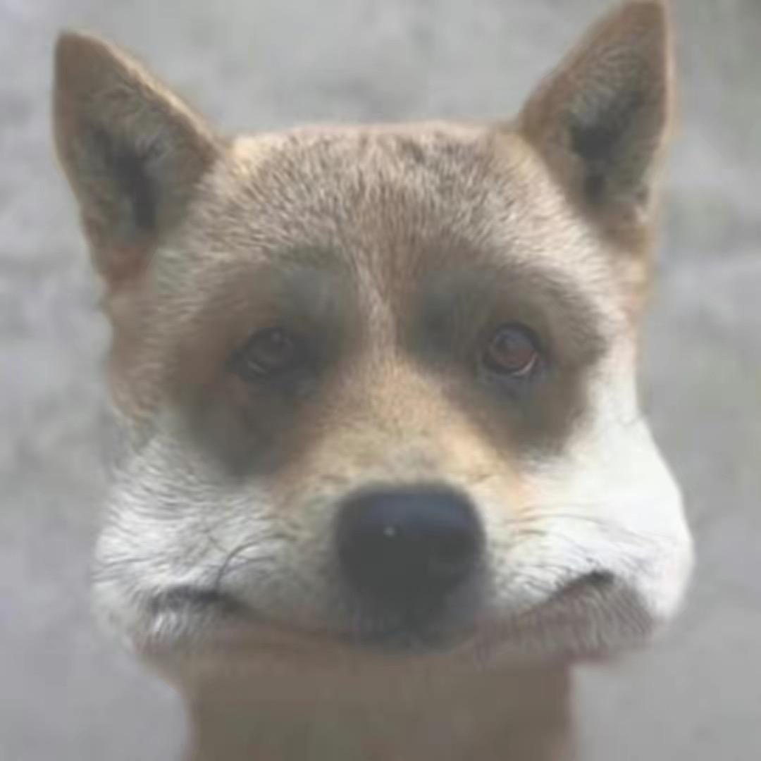 马到成功成名就是不死🤓🤓