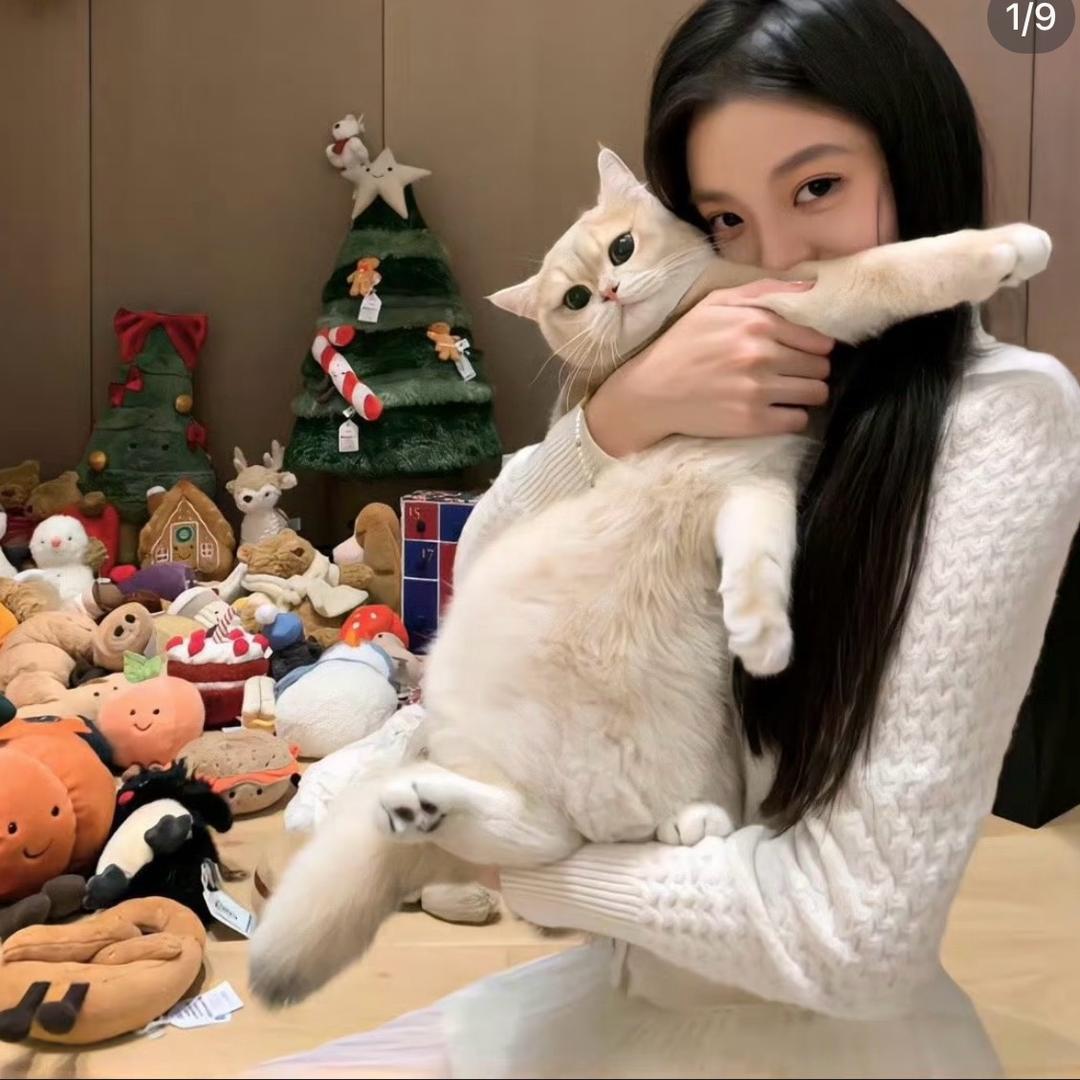 晚怡雪