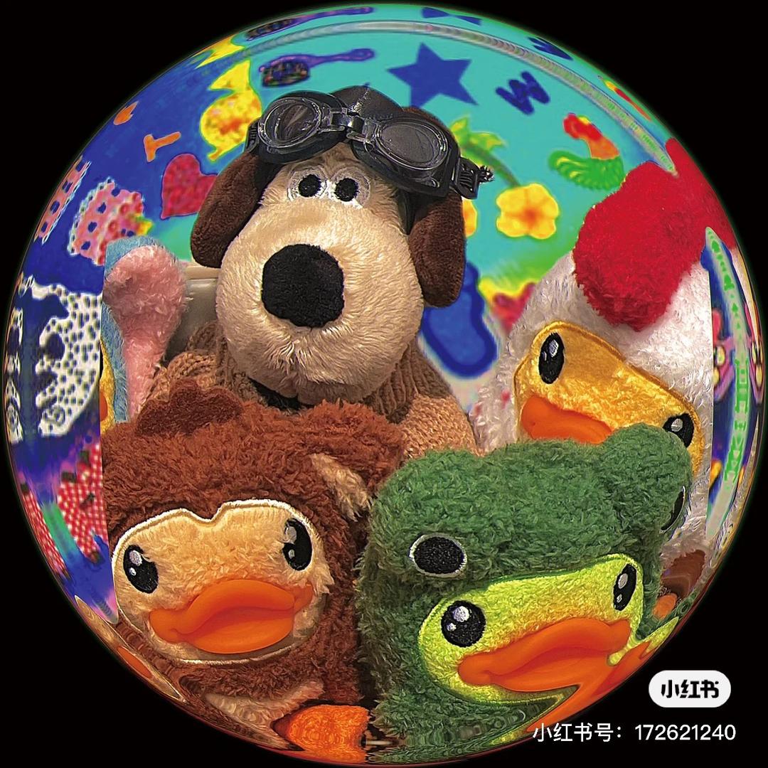 看我72变🦋🦉🐖🐦