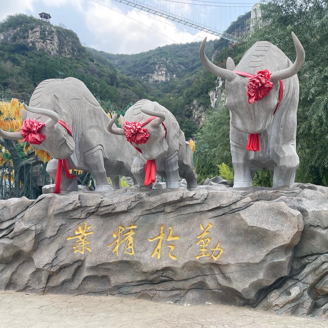 冲出亚洲S