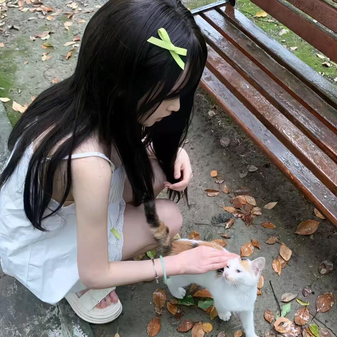 呆呆兔