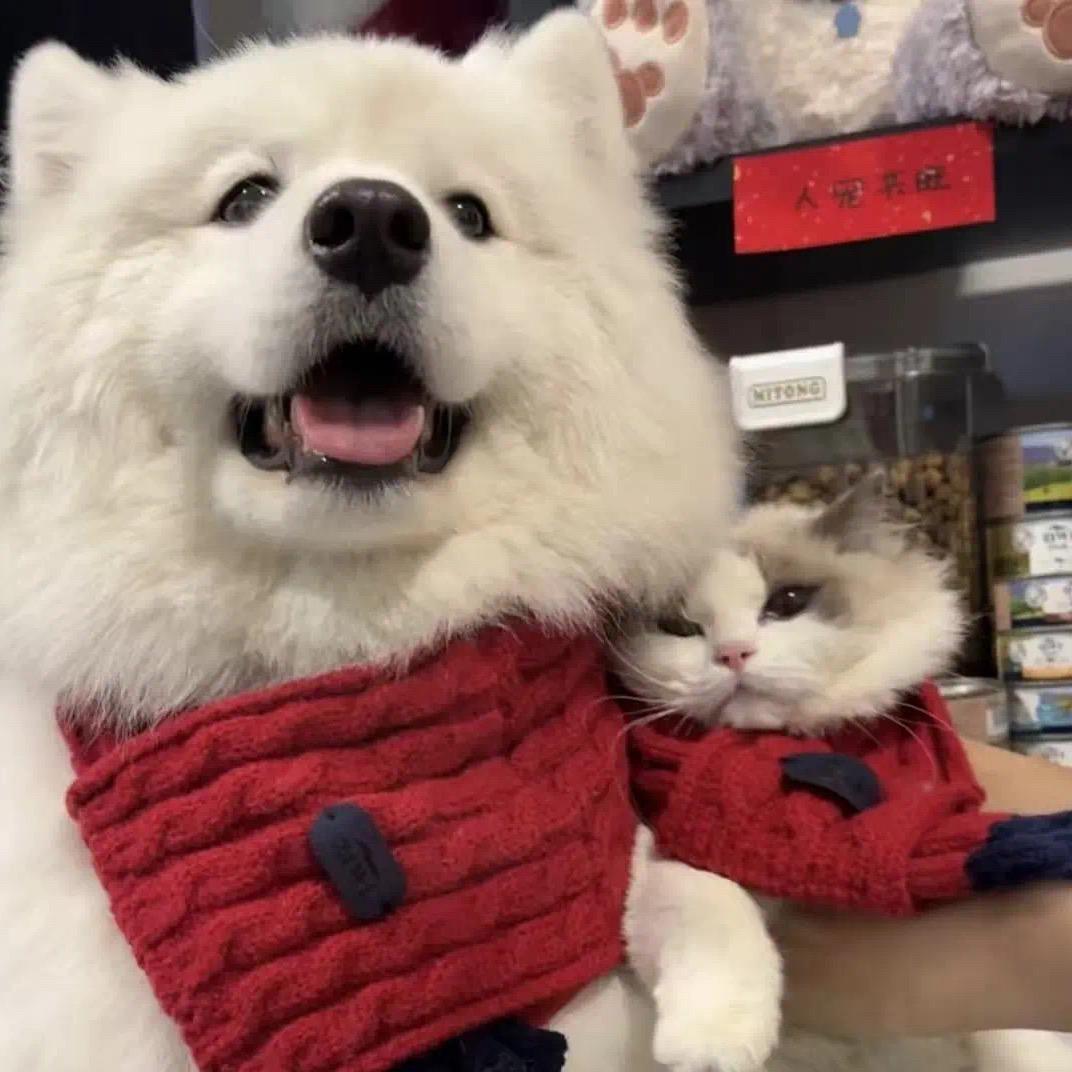 小盈na努力到发财啊