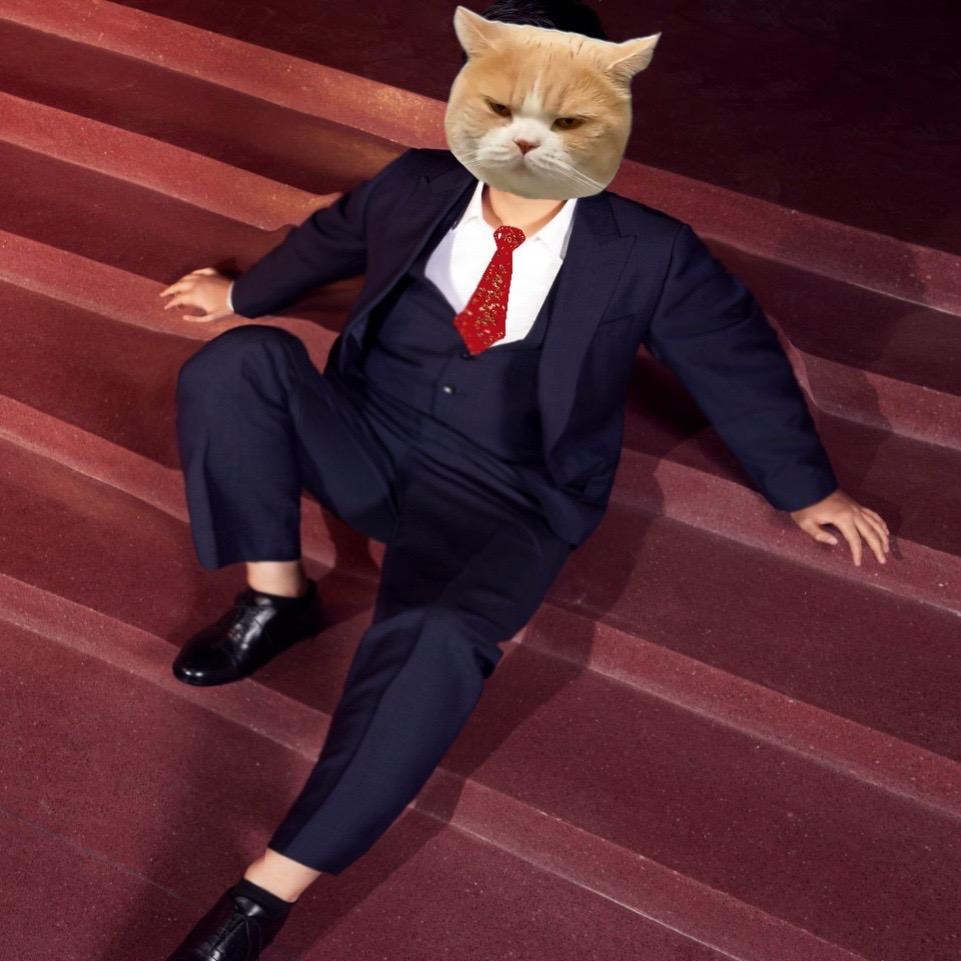 小陈小陈 满眼星辰🐈