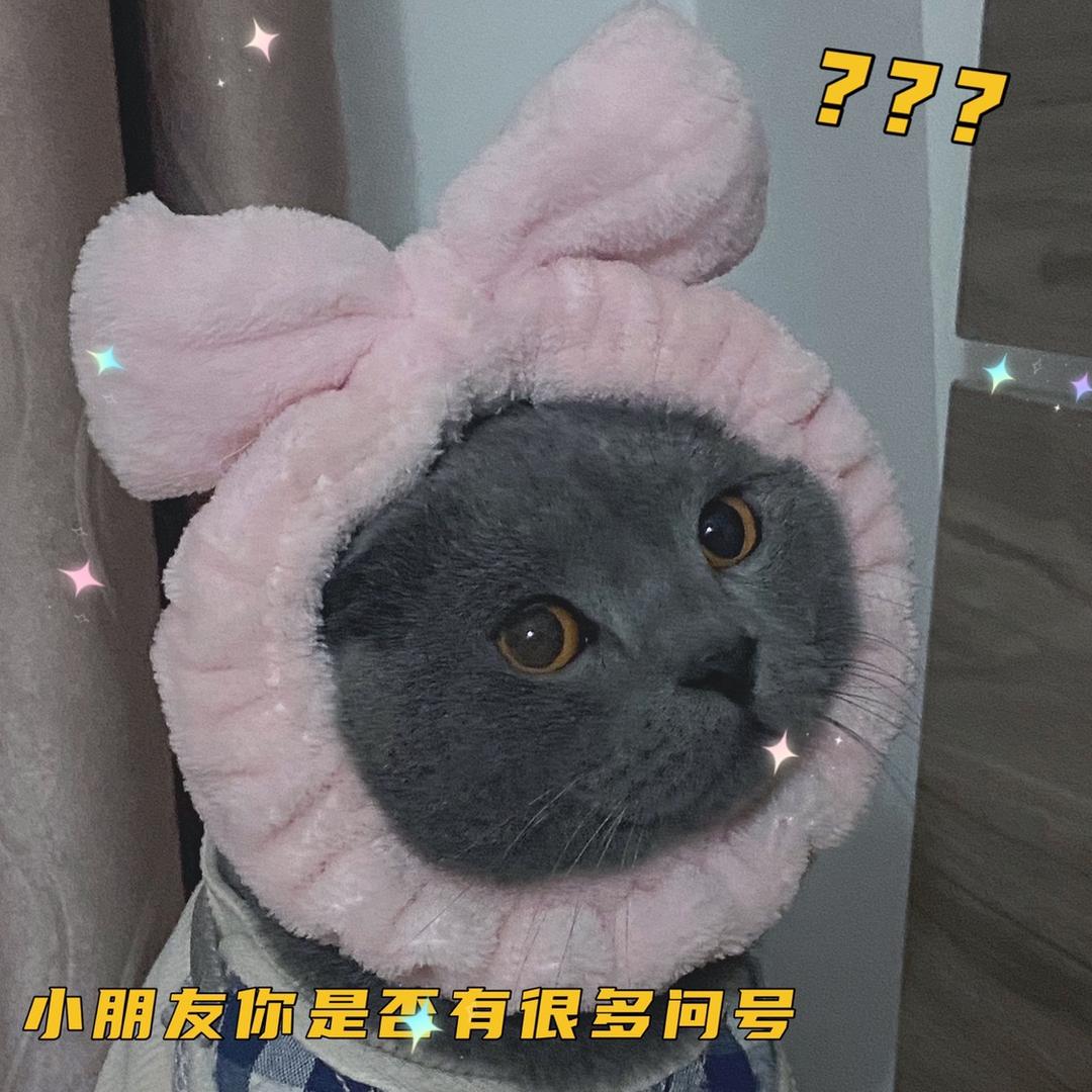 🌈快乐的小玲宝