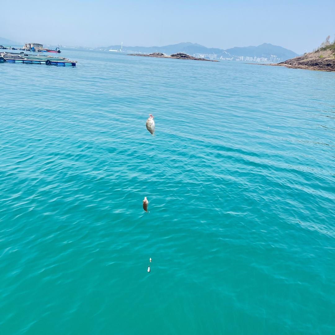 钓鱼小菜鸟    🎣（学习中）