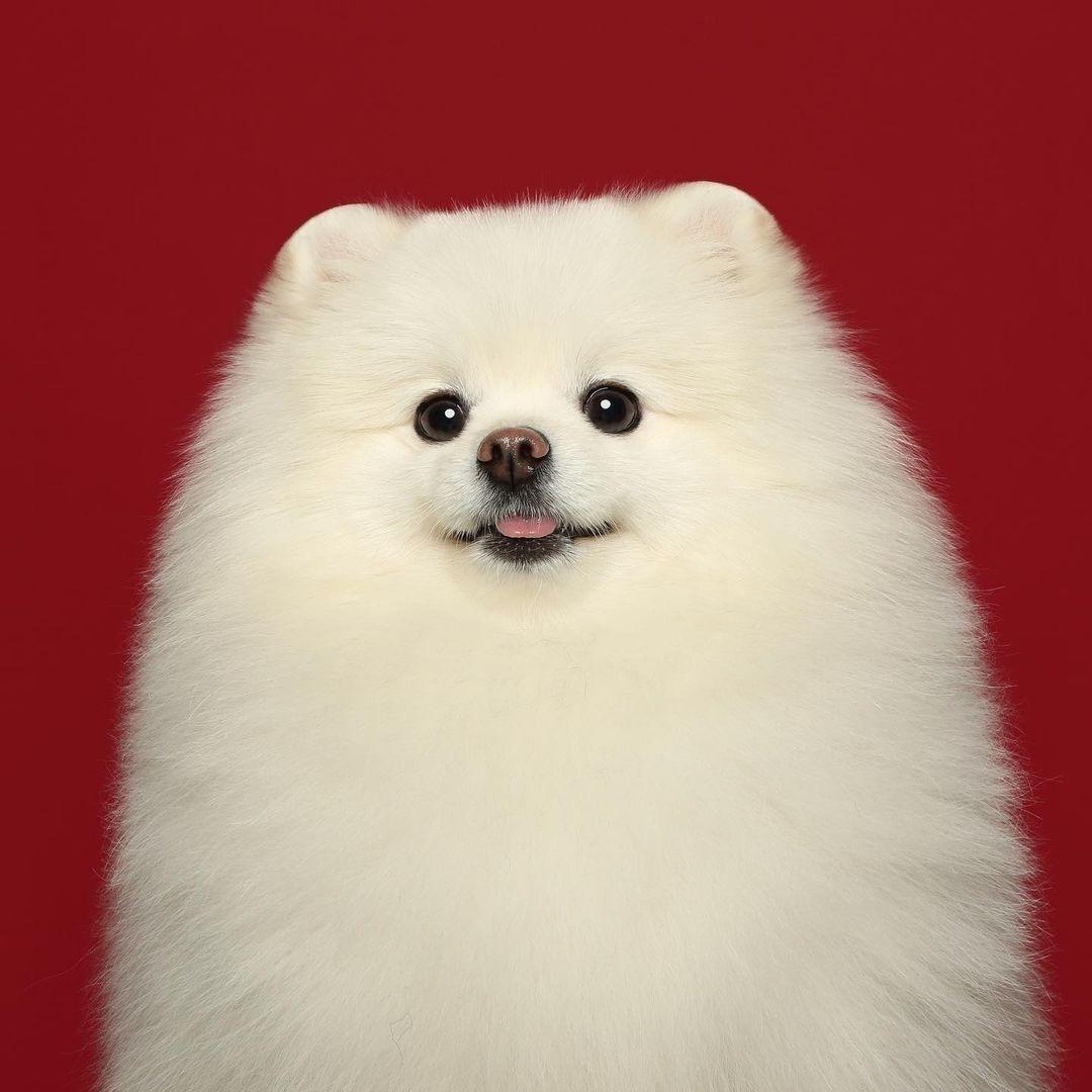 忆惜抚今