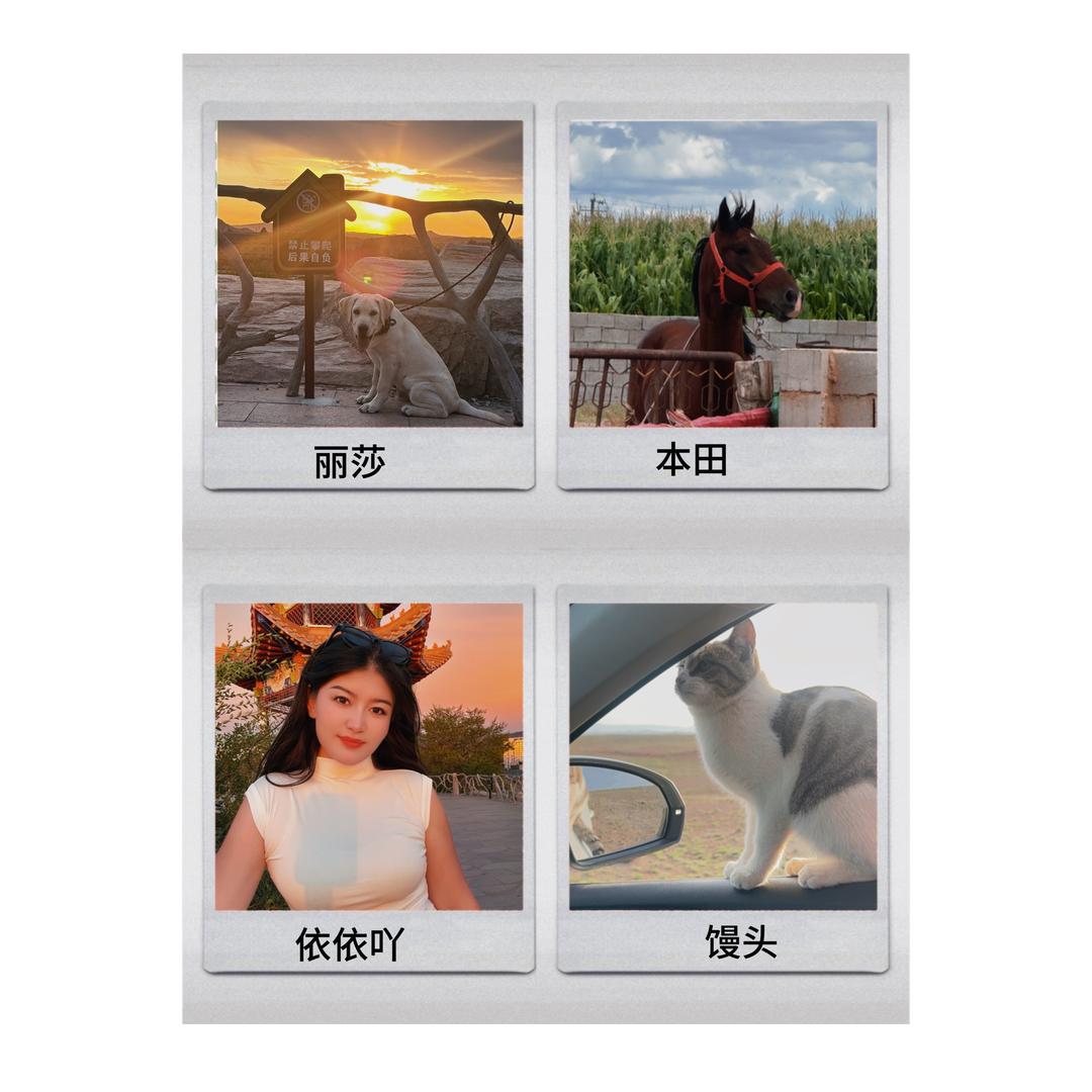 依依吖