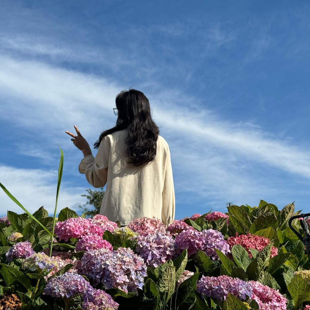 木子。