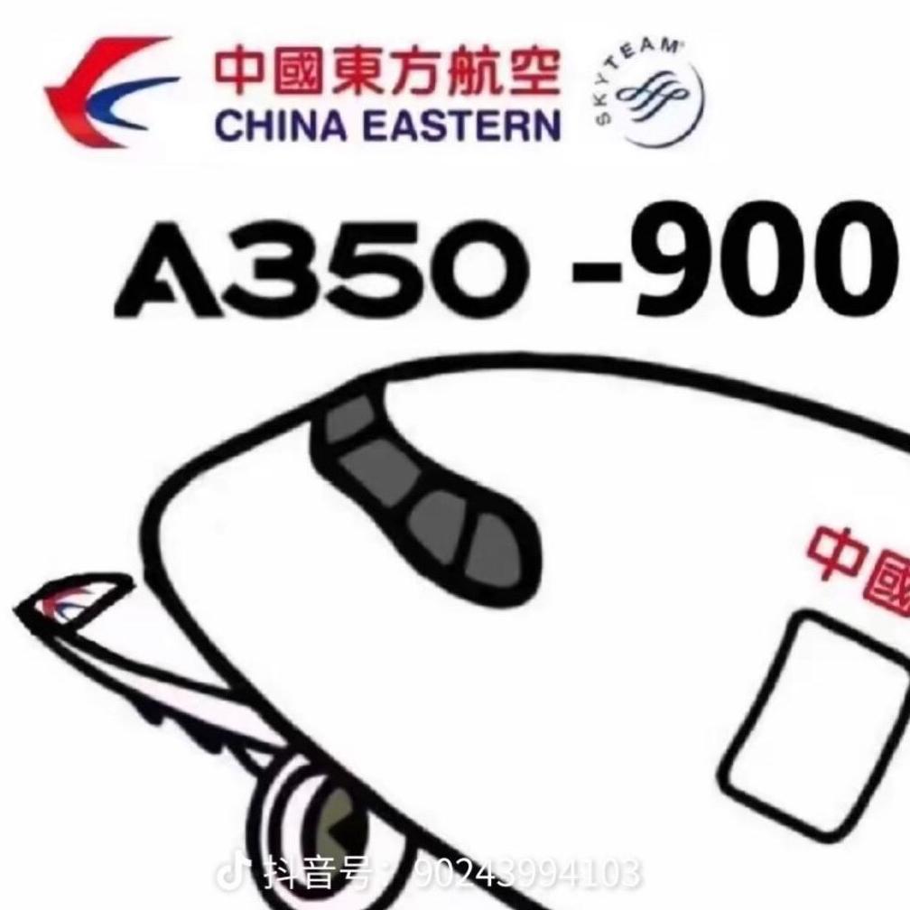 一架空中的A 350