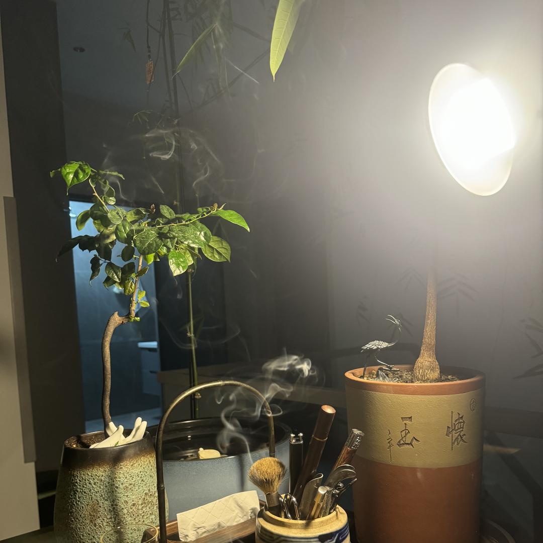 沉香传承