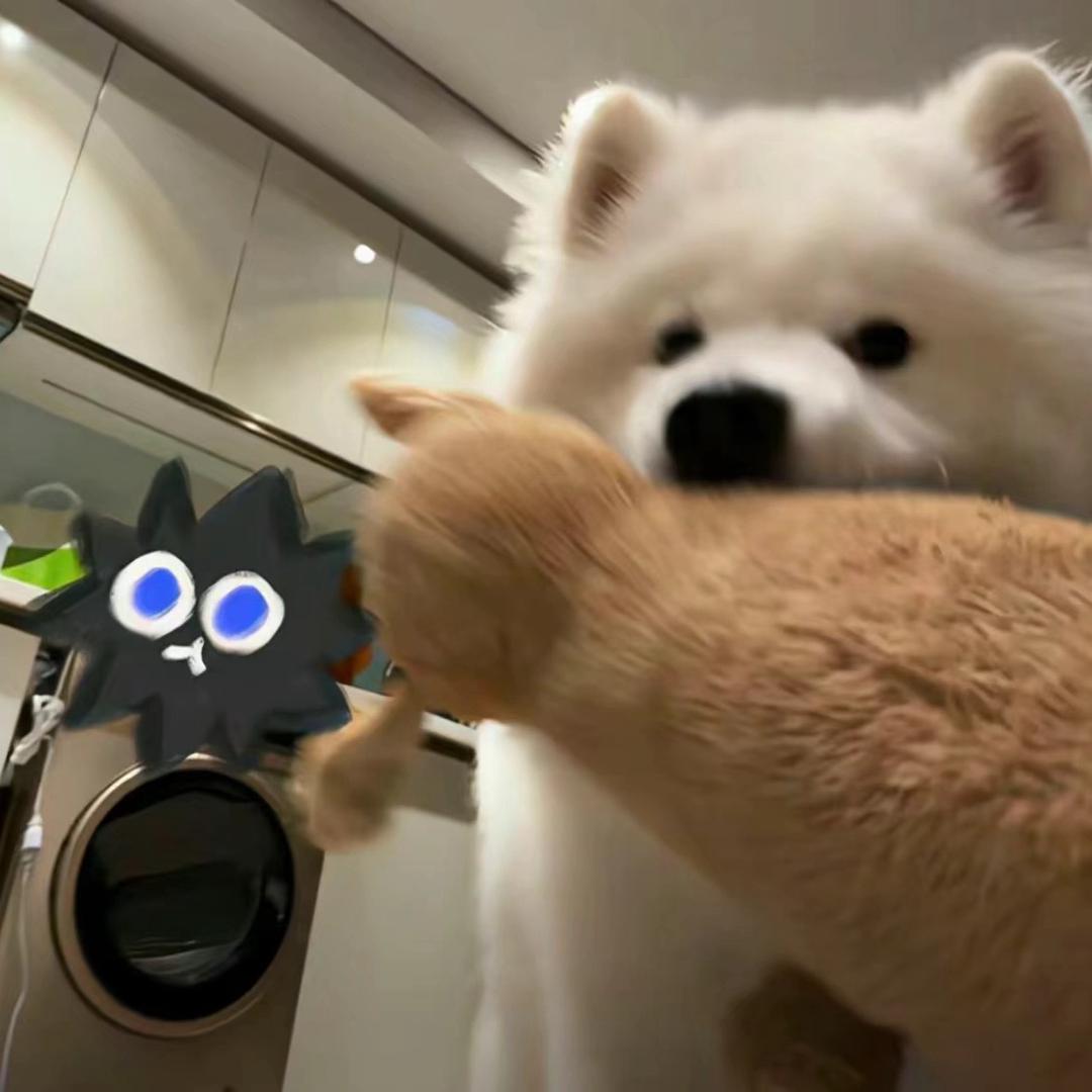 77777777