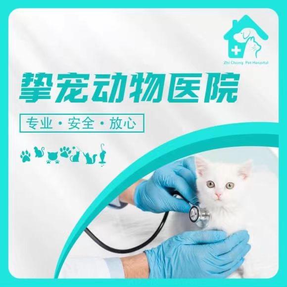 挚宠动物医院（河源总院）