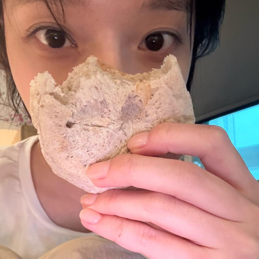 坚毅小狗战士