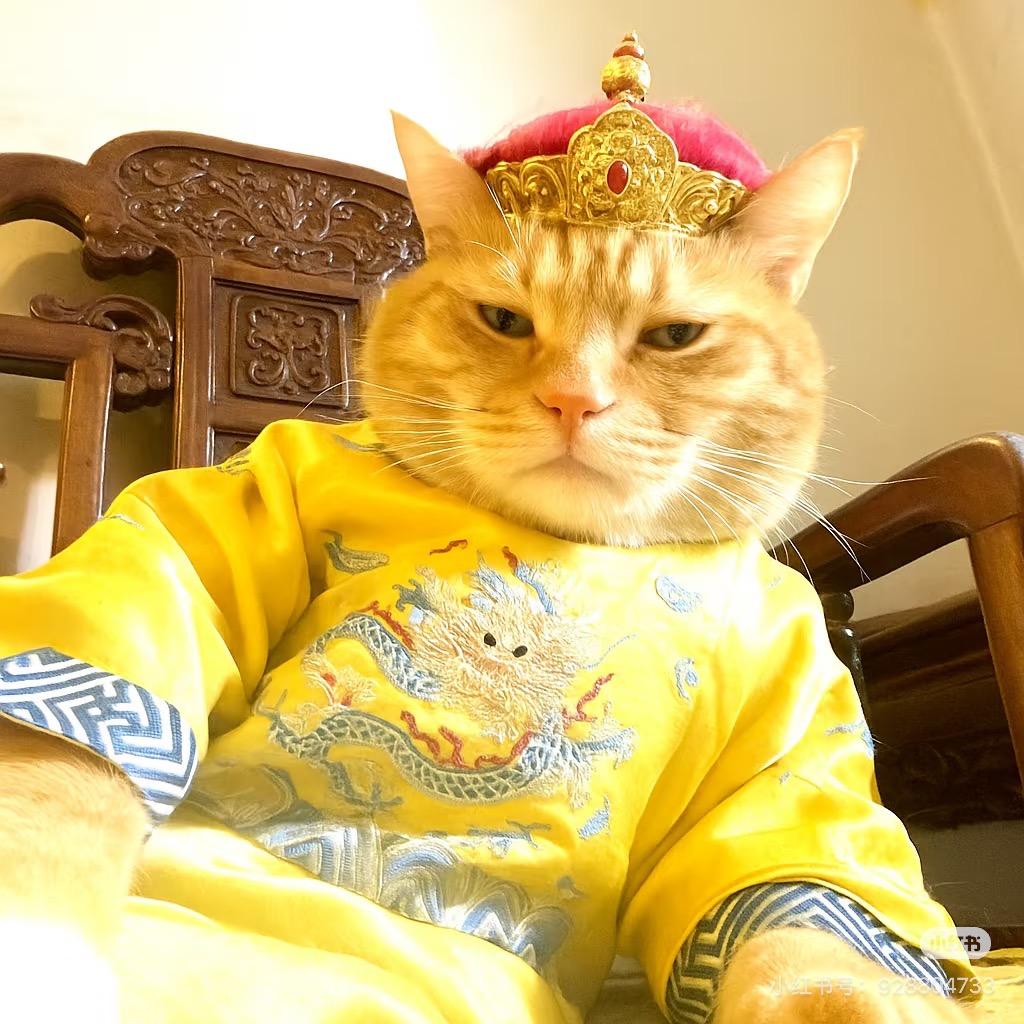 九州大地掌管财富的神.