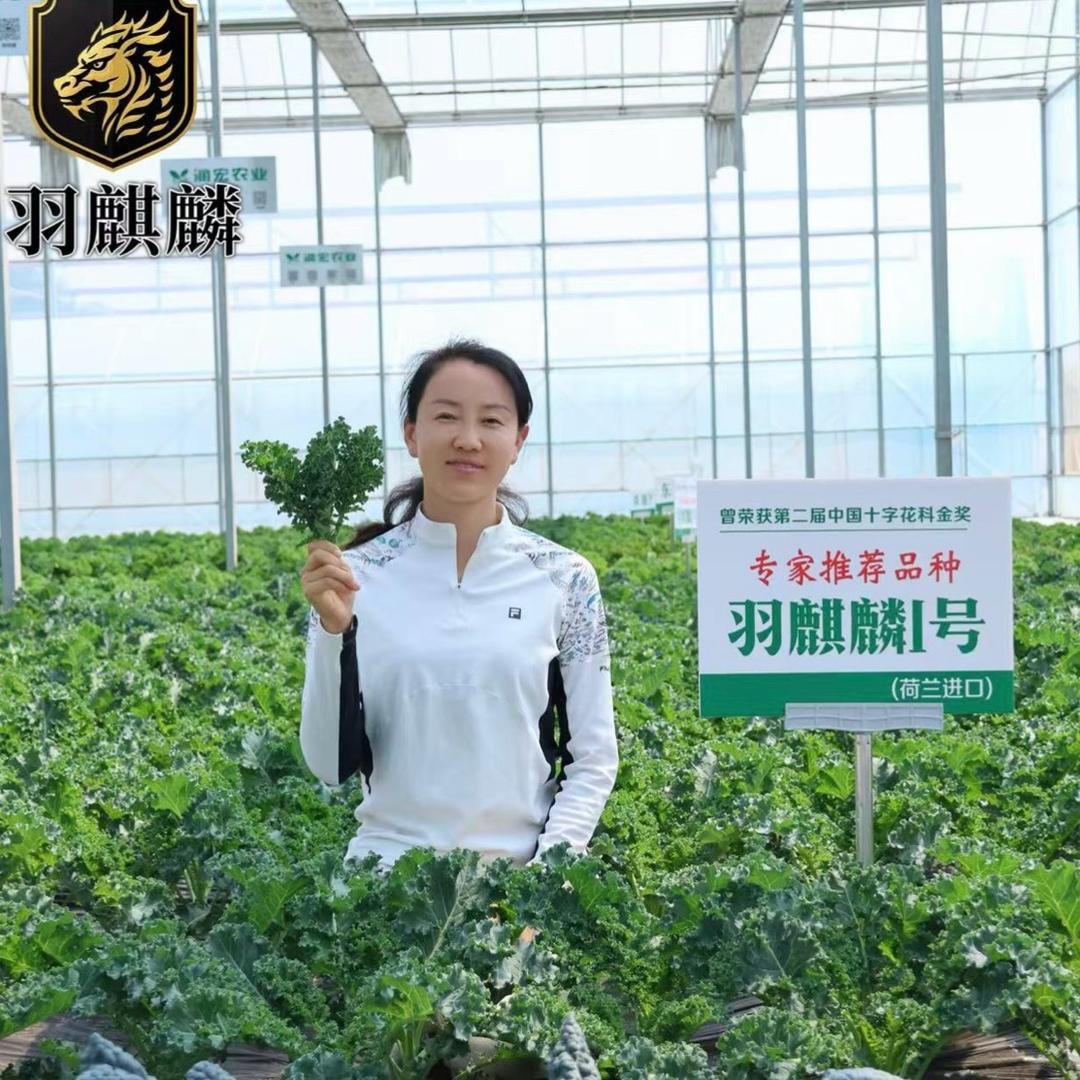 羽衣皇后开心姐