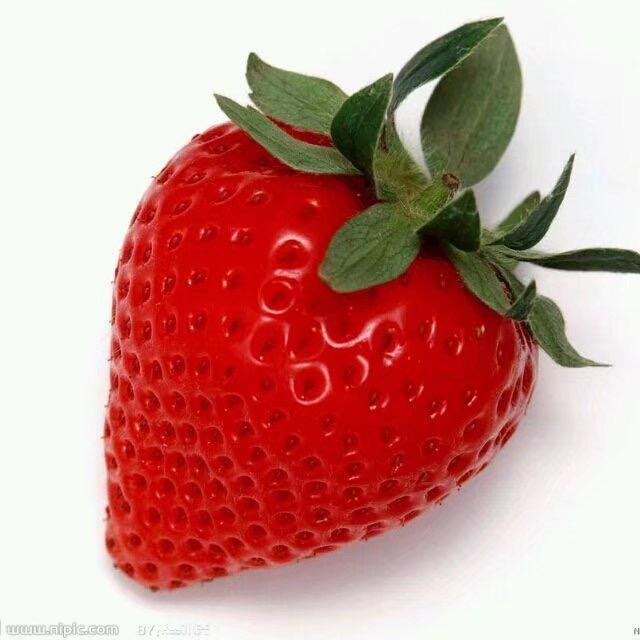 草莓果果