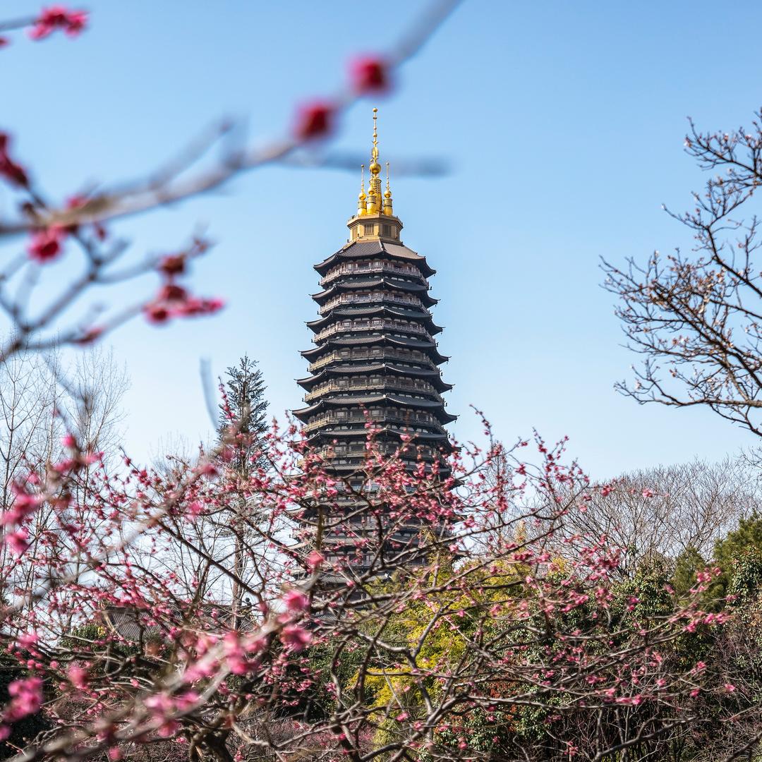 爱上飞