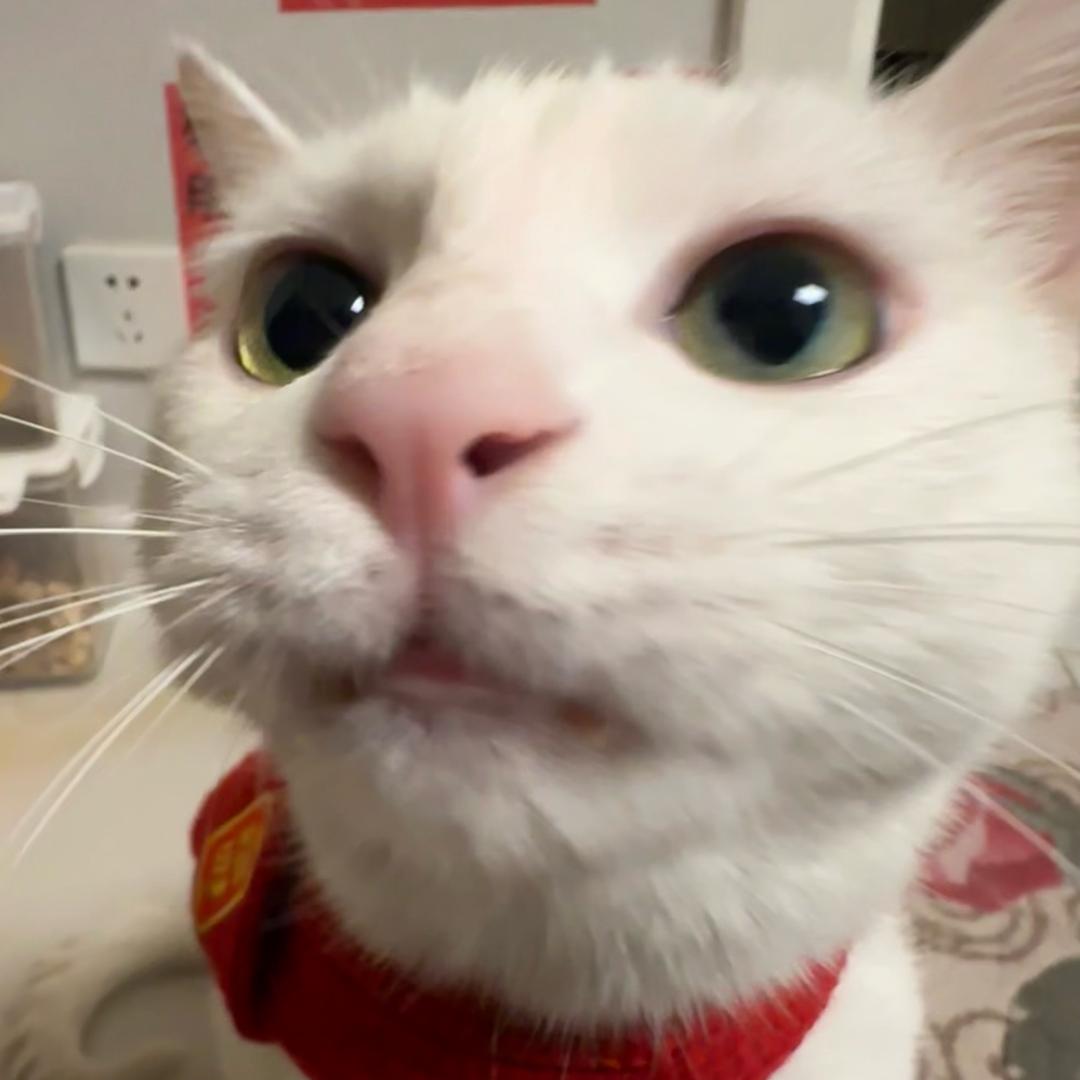 葡萄干大列巴