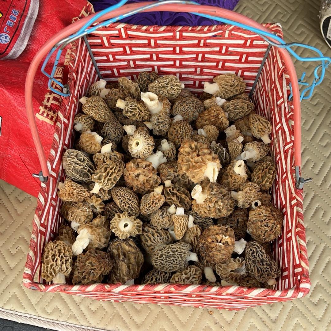 约 瑟