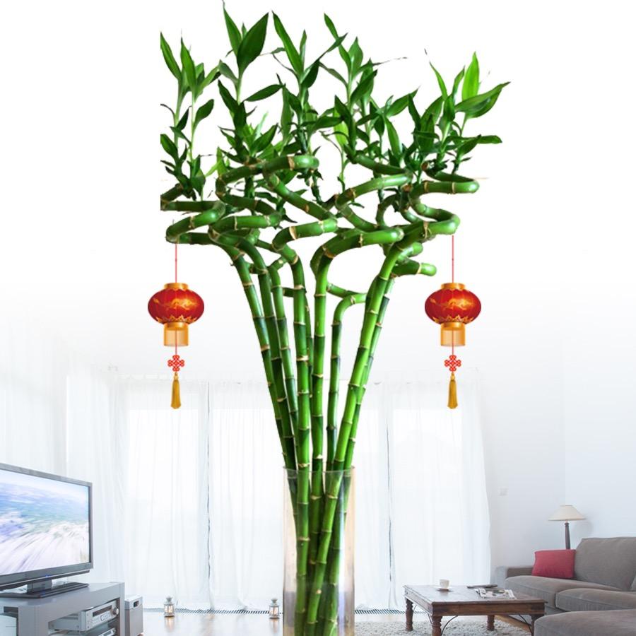 绩光鲜花旗舰店