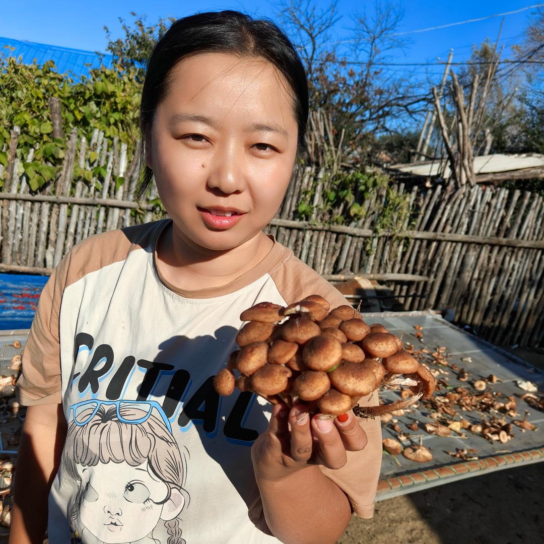 小玉东北林区山货铺