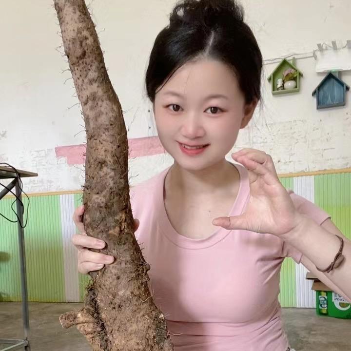 信丰表妹