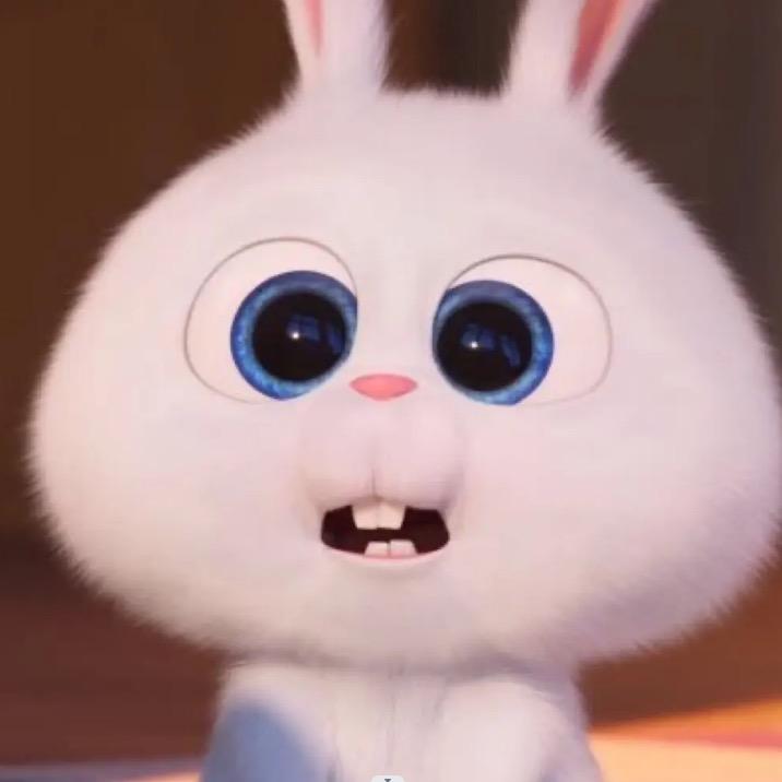 XIAO小白