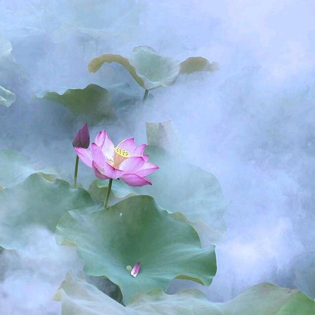 杨胜合