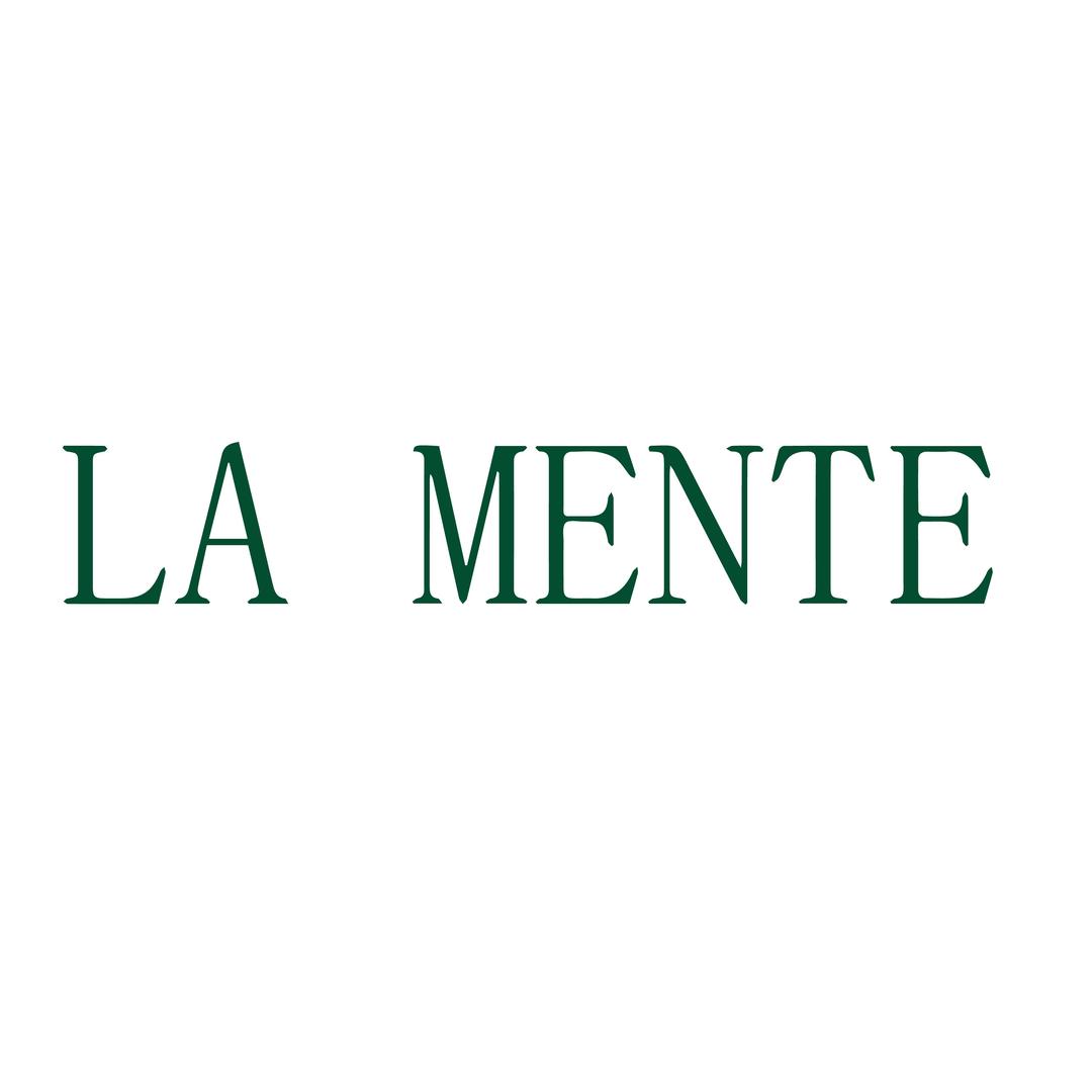 LA MENTE汽车用品