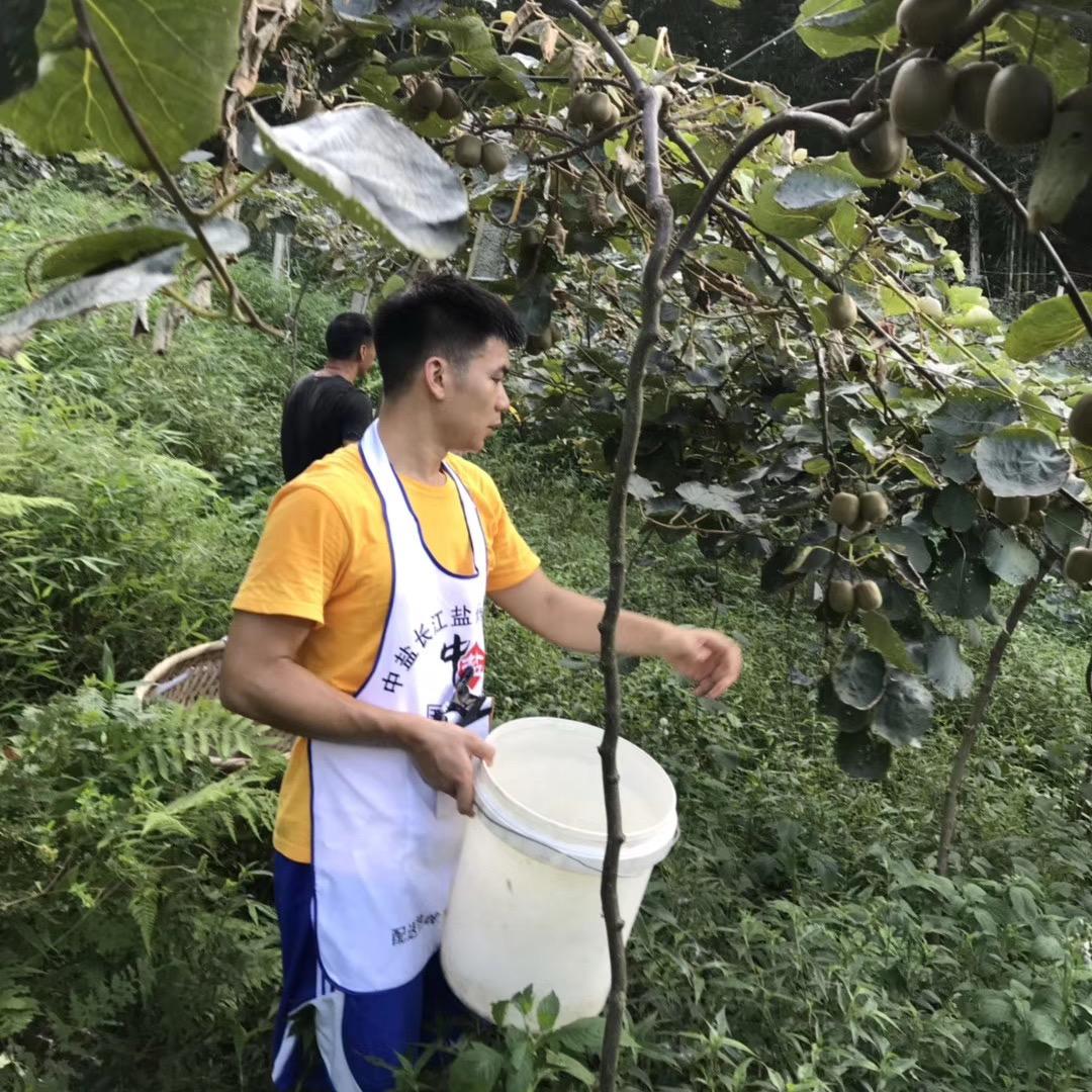 布衣司马