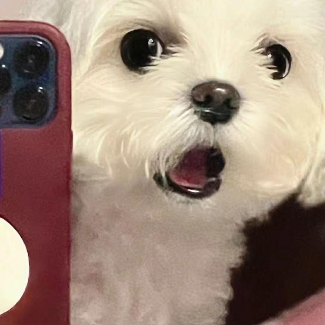 独木周
