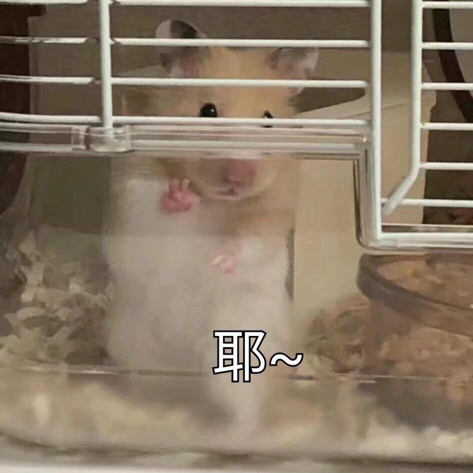 苏裕