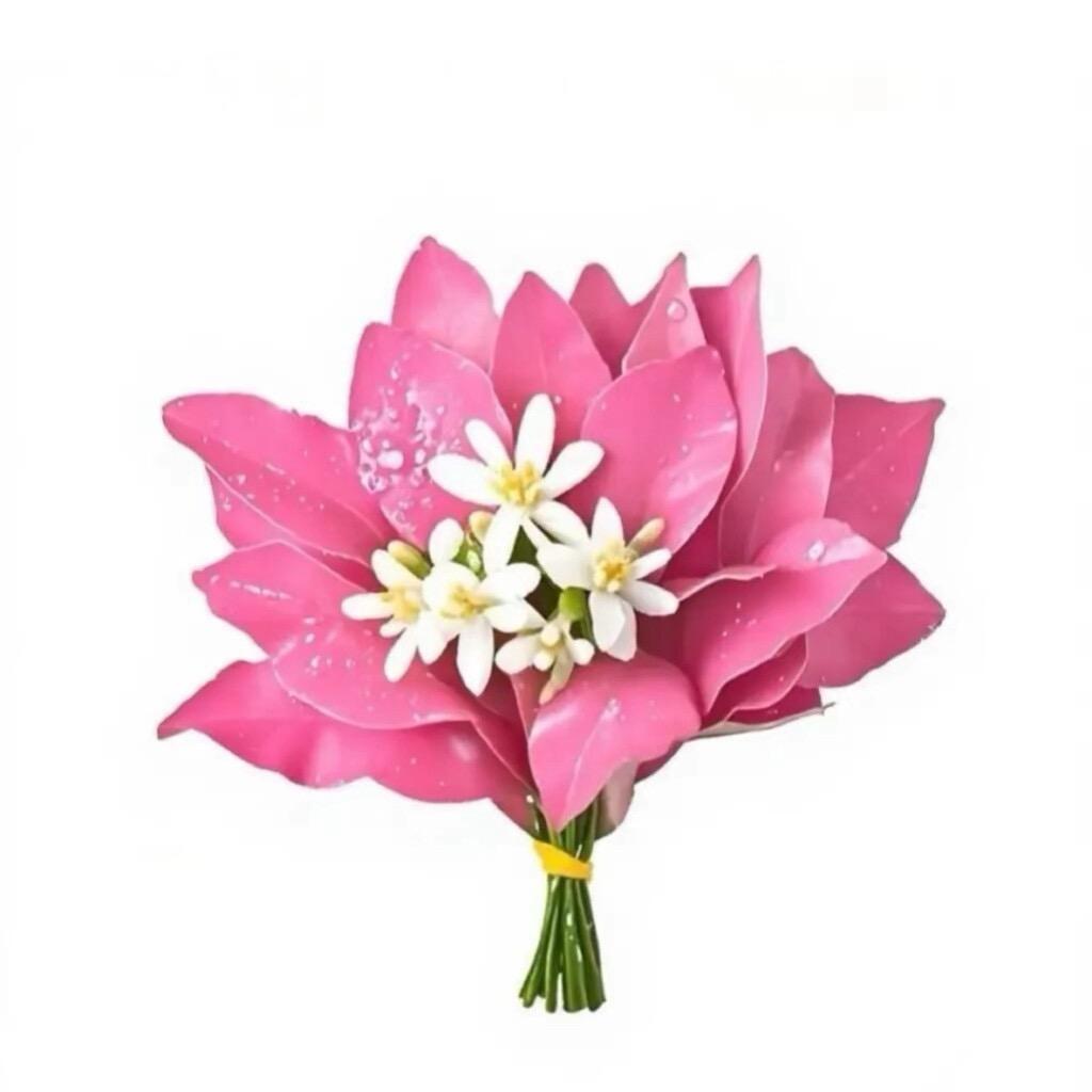 旺旺小zhang～🐾