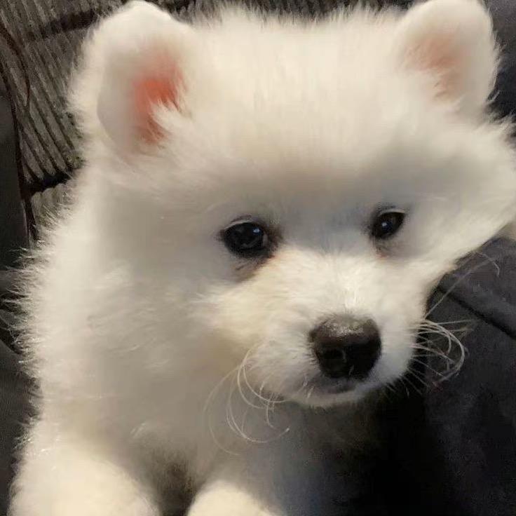 二律背反_（被崔啵农文俊辉李硕珉饭撒过版