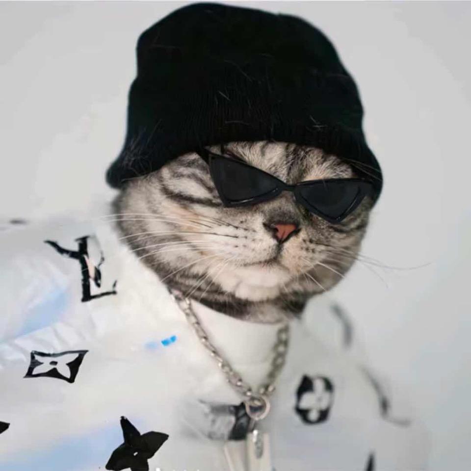 洋洋滴…