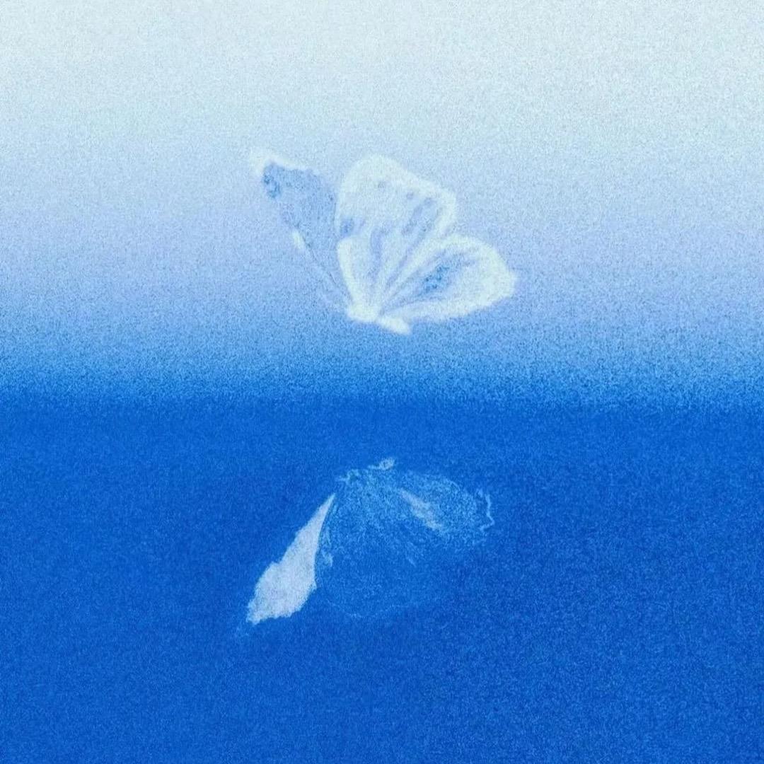 山有巳@抖音