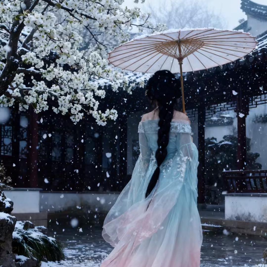 一张白芷❄️