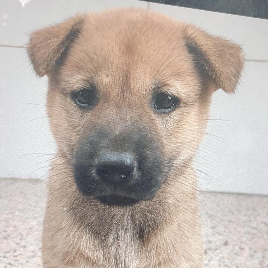 蚂蚁户外（护林直播）