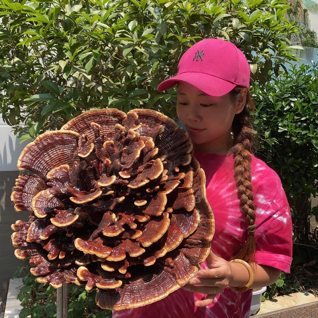 振民云南山货滇西土特产