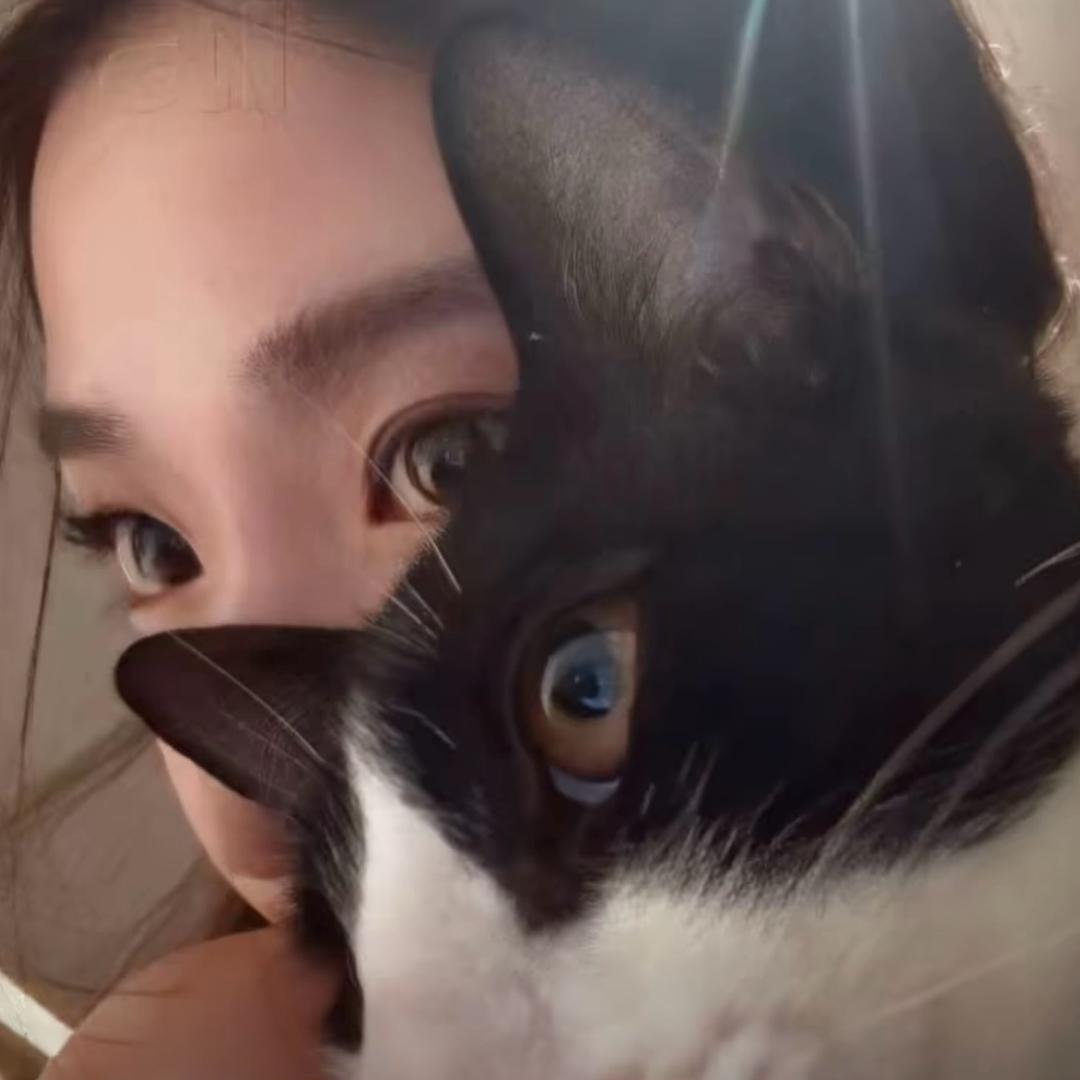 AAA建材批发墩总