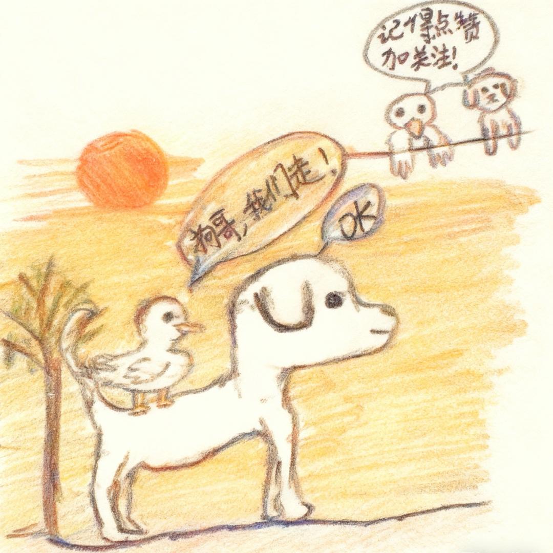 鸭鸭和馒头