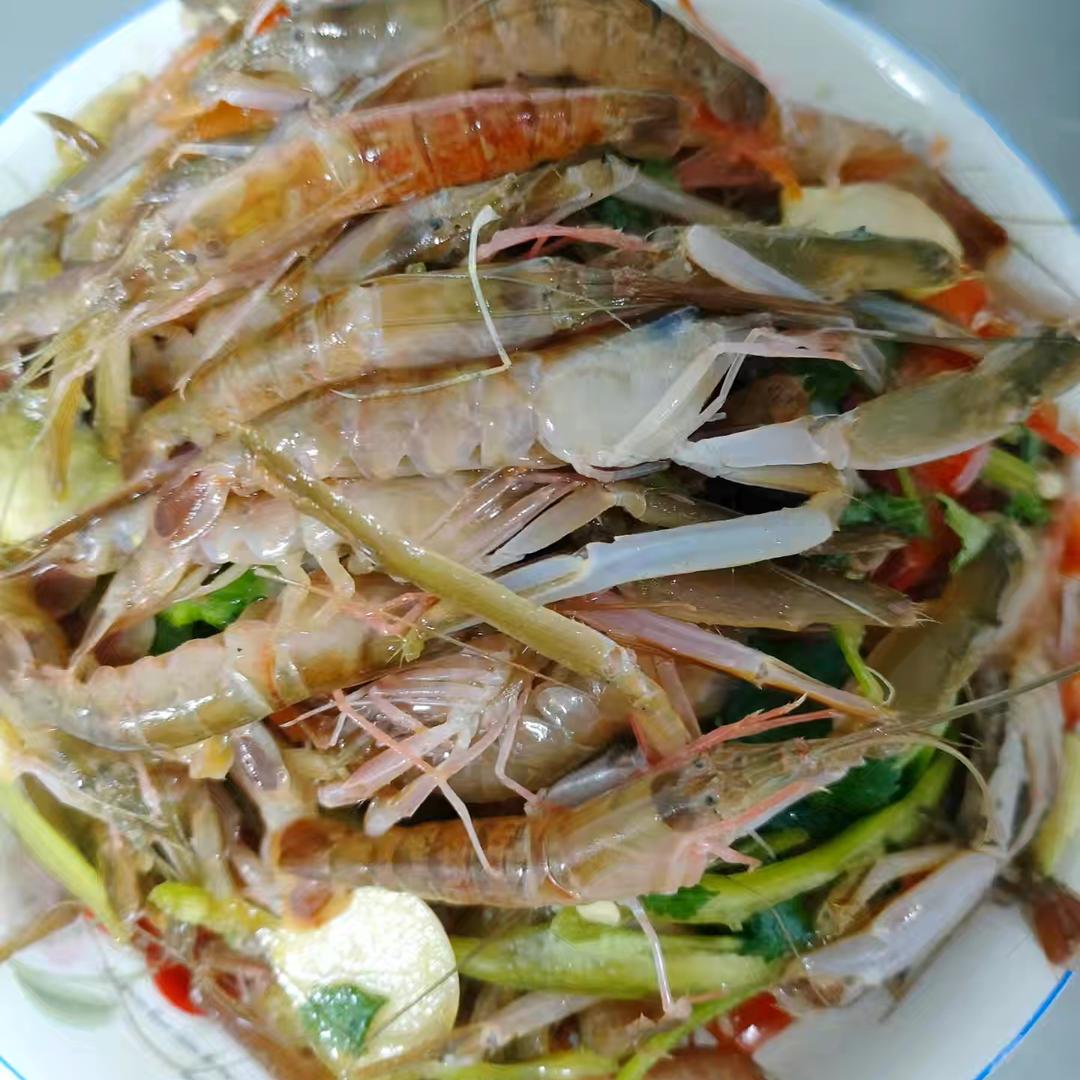 鑫洋海产品批发的头像