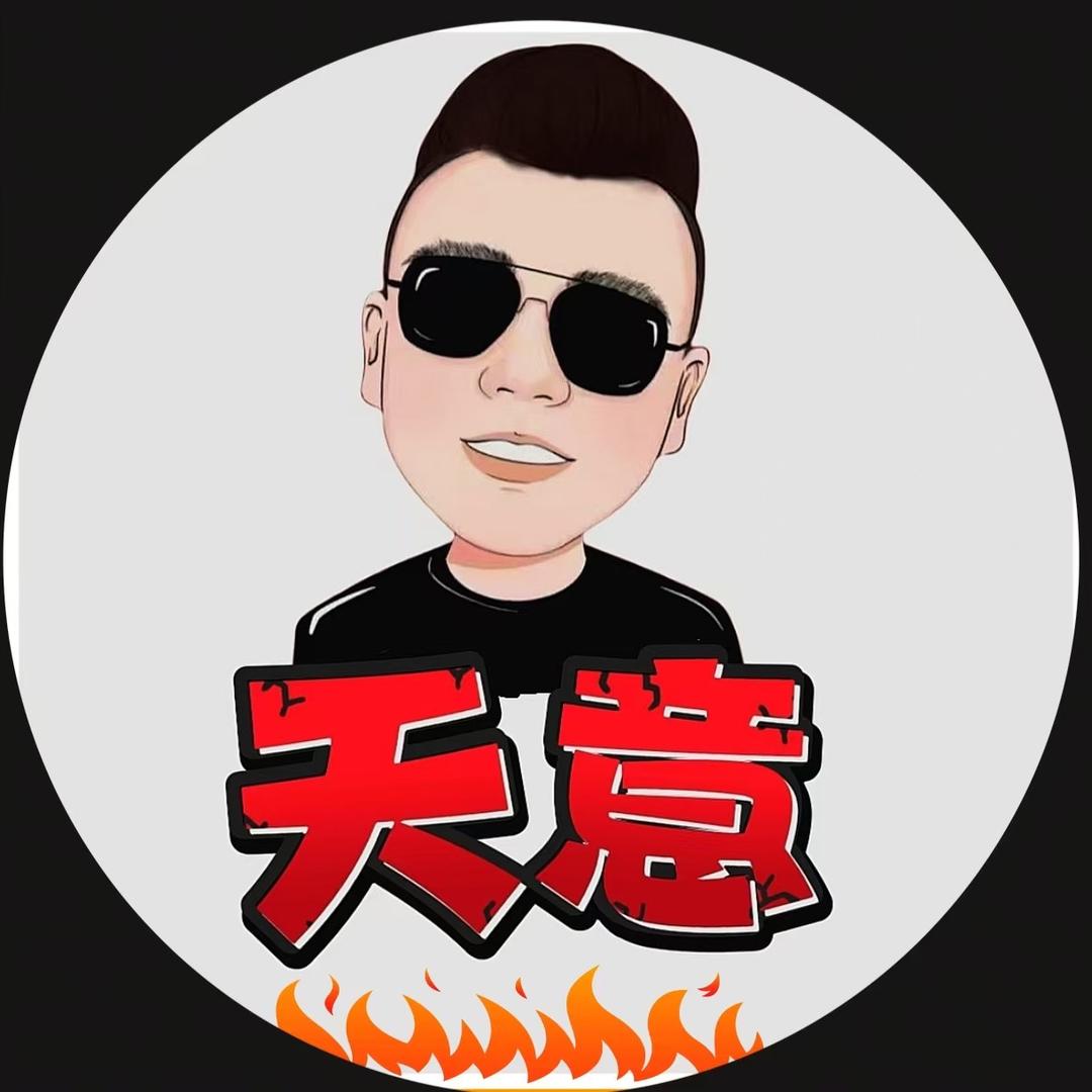 天意（东山再起）