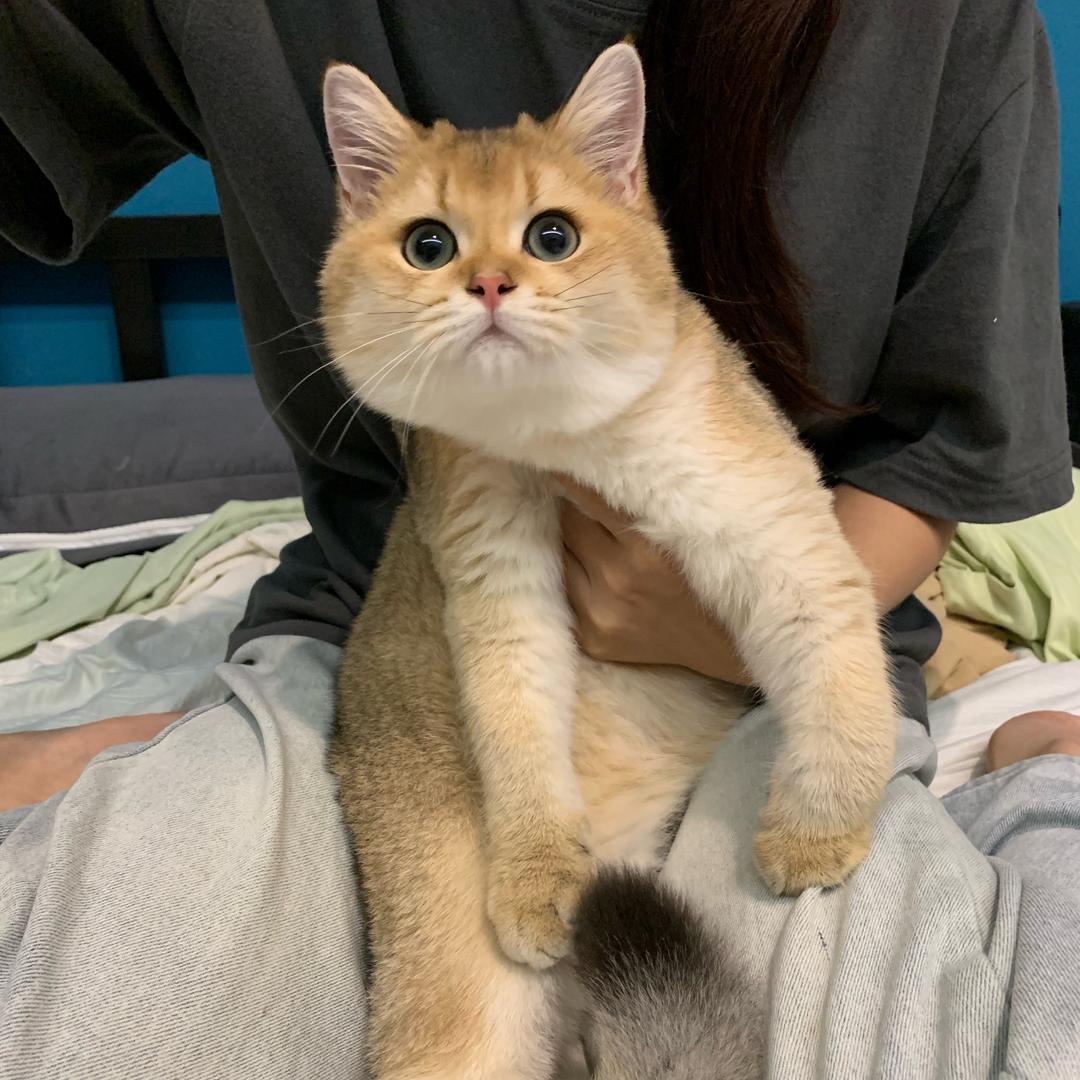 跳跳妈的美食厨房