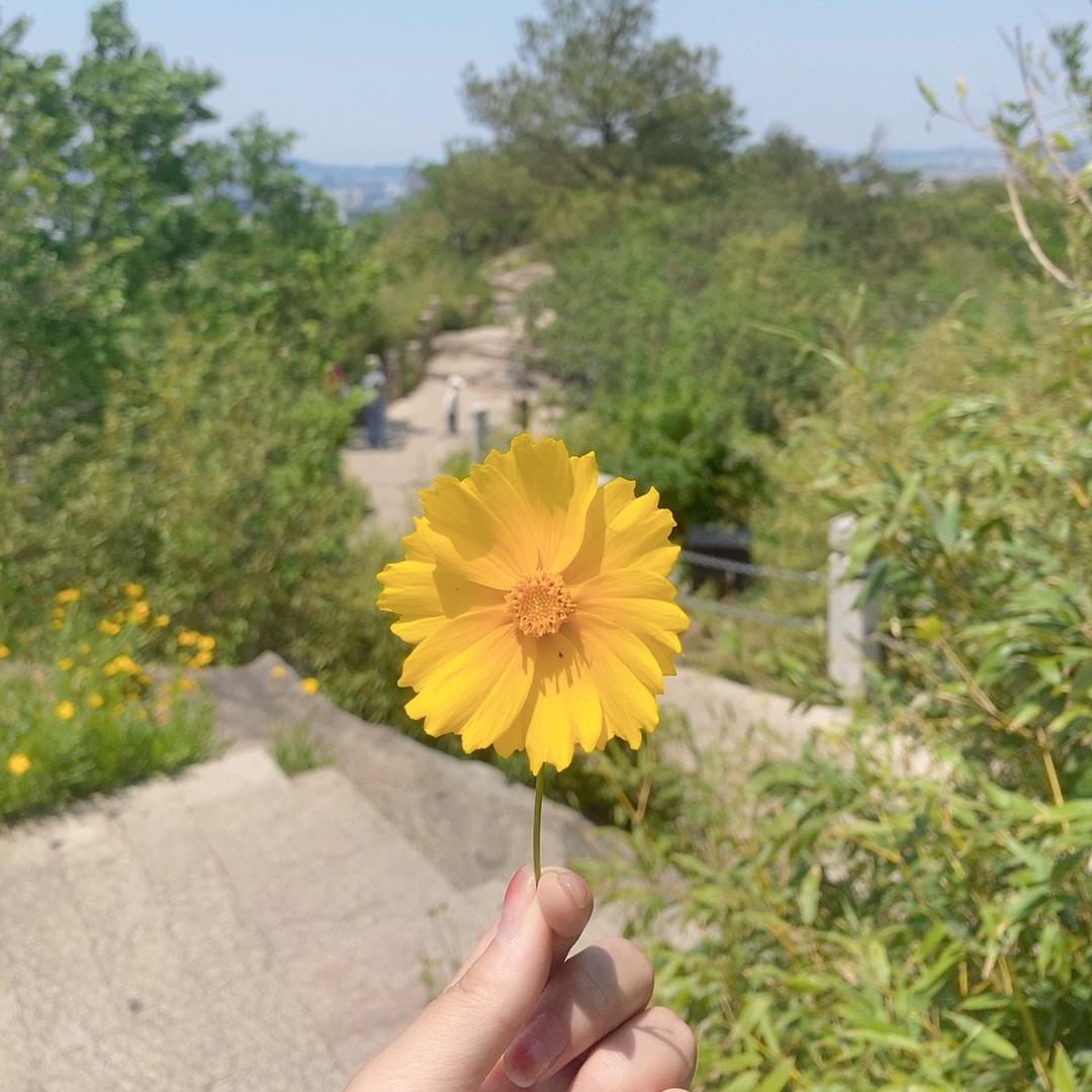 楠🥰