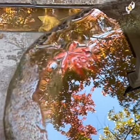 值爵锦畅宏专卖店